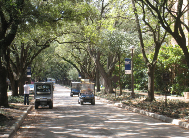 Lynn R. Lowrey Arboretum, United States